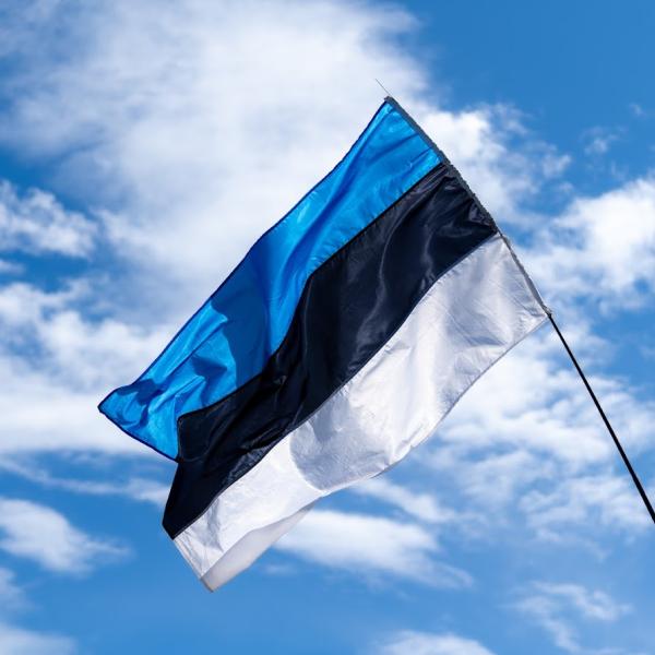 Rahvuste päeval lehvib sinimustvalge 